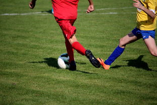 爱游戏app-世界青少年自行车赛中国骑手再创佳绩，2020全国青少年自行车锦标赛