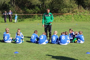 爱游戏官方-中国篮球教练员战术执行能力评估体系，中国篮球教练员培训等级