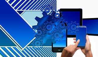 AYX SPORTS-中国篮球联赛品牌建设策略与粉丝经济发展路径，中国国内的篮球联赛简称