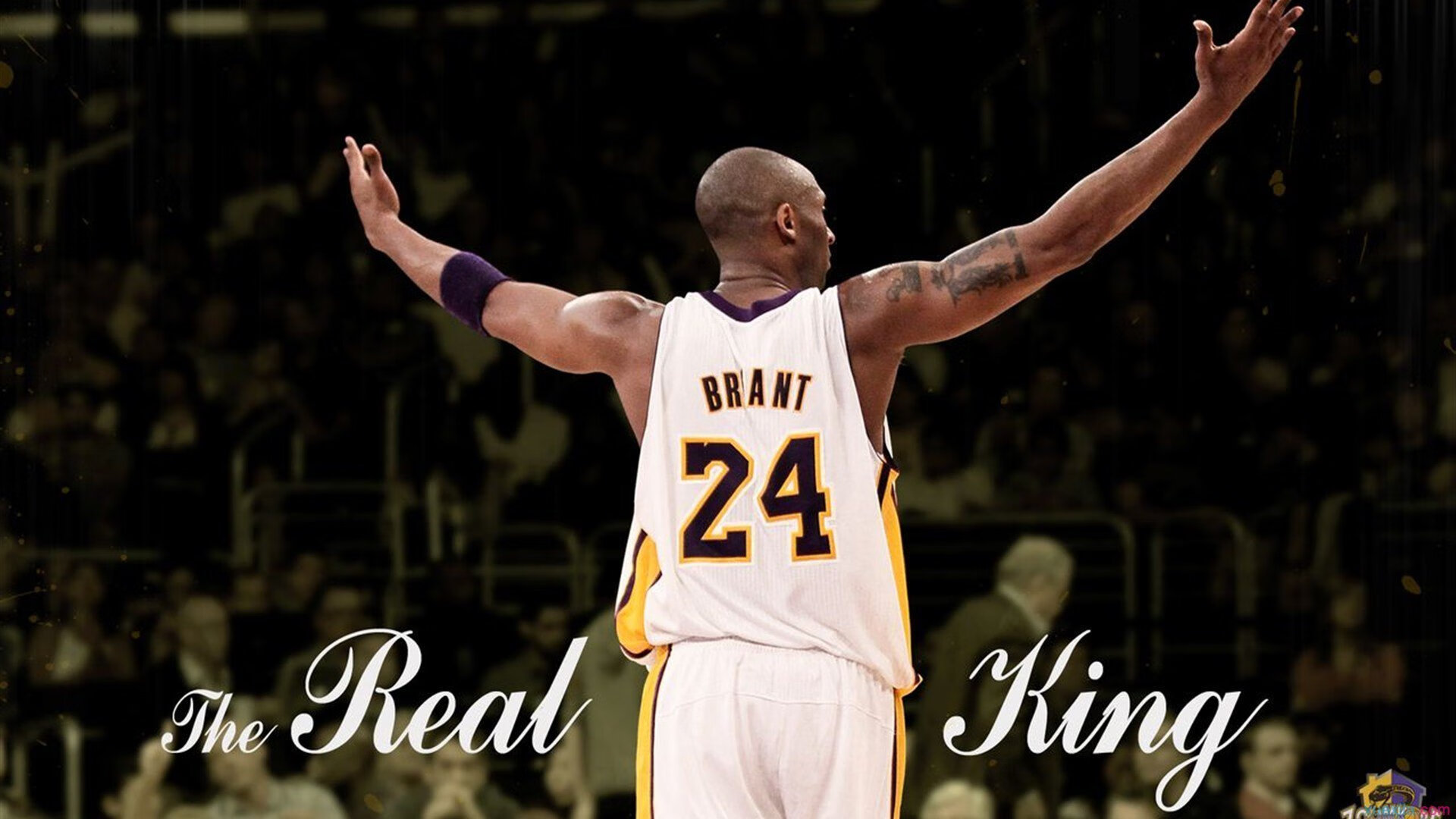 特色“绿色+智慧”行业项目在行业中成为行业绿色转型的标杆，基础设施不断升级